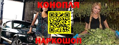 гашик Новозыбков