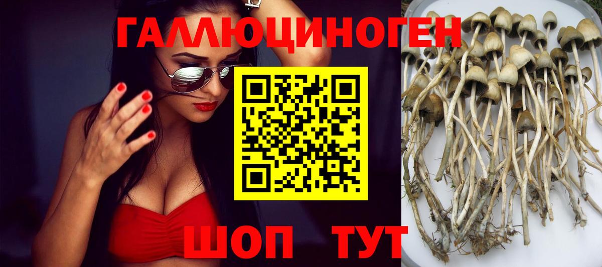 Псилоцибиновые грибы GOLDEN TEACHER  Вход с VPN  Семилуки 